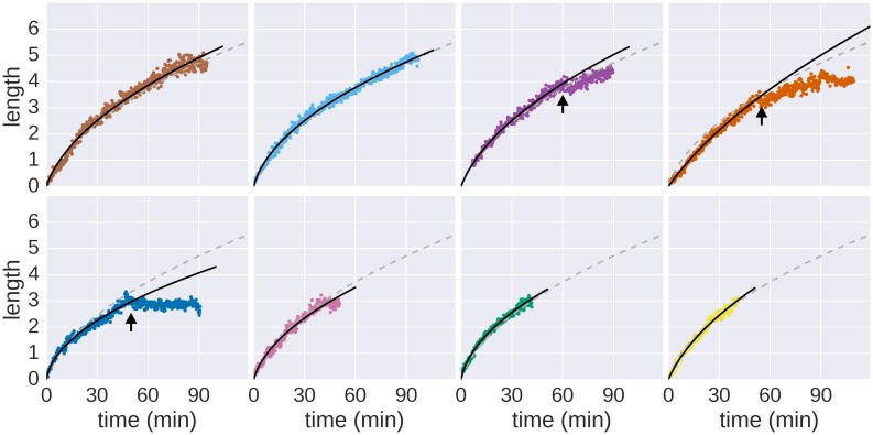 Figure 1—figure supplement 2.