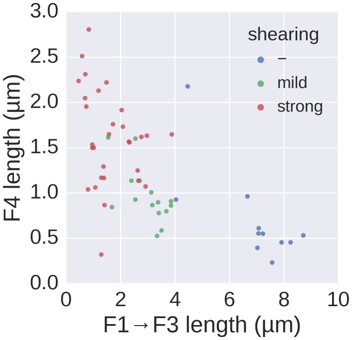 Figure 4—figure supplement 1.