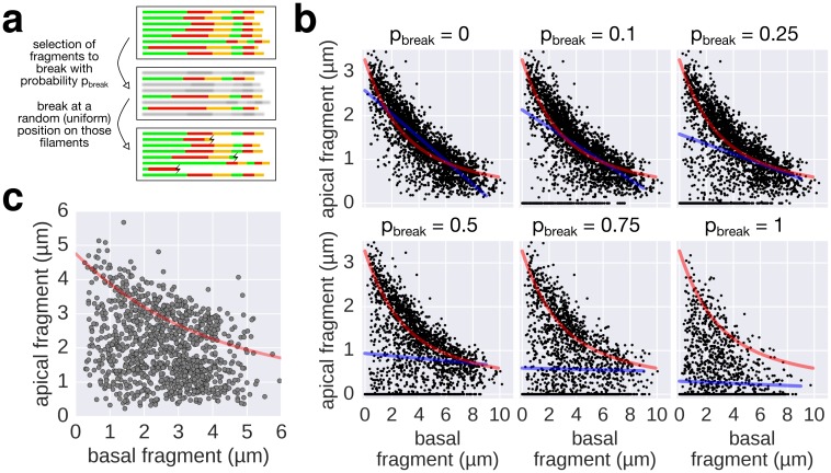 Figure 3—figure supplement 2.