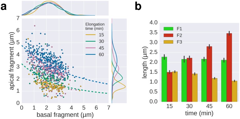 Figure 2—figure supplement 2.