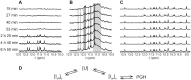Figure 10.
