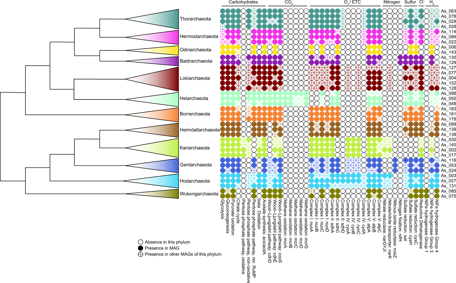 Extended Data Fig. 9 |