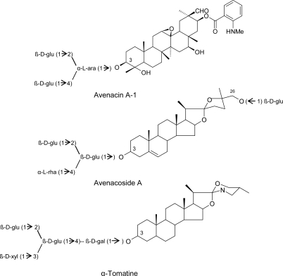 Scheme 4.