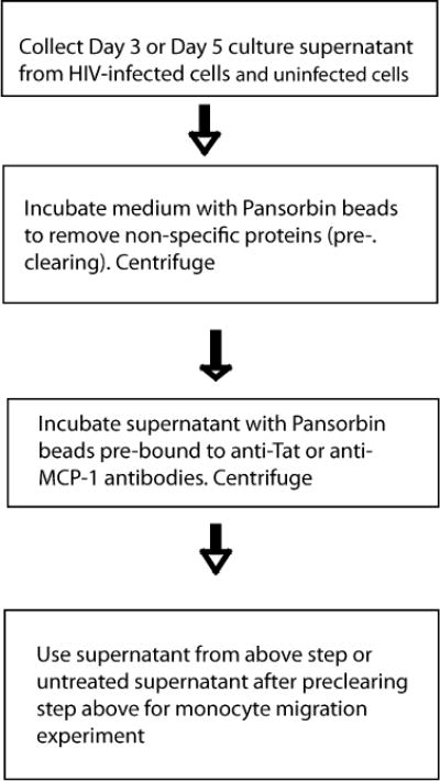 Fig. 20.4