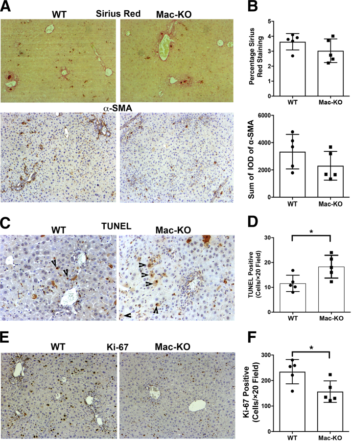 Figure 6