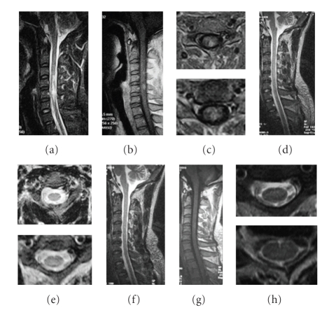 Figure 7