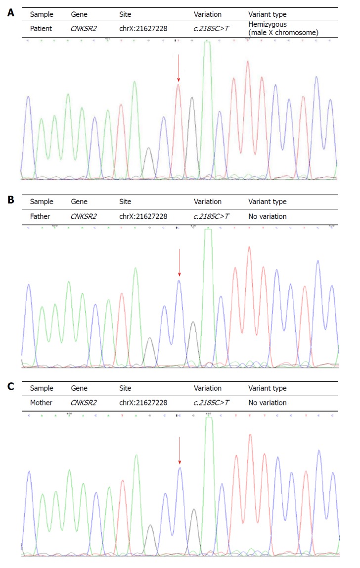 Figure 2