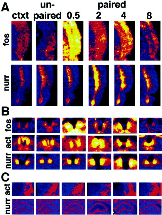 Fig. 6.