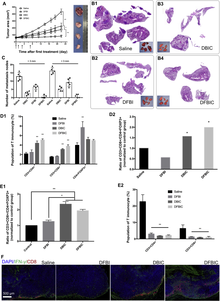 Figure 4