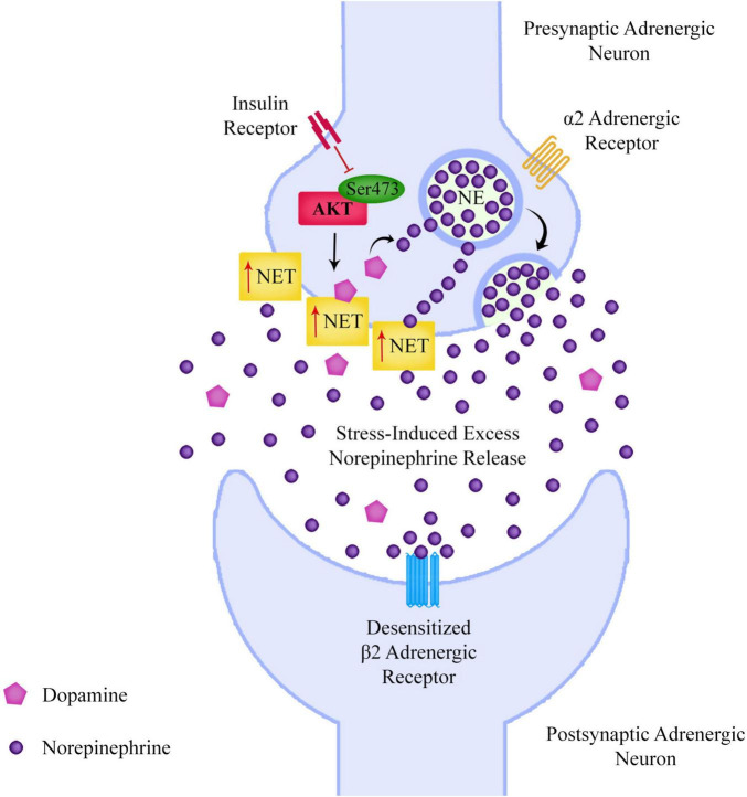 FIGURE 4