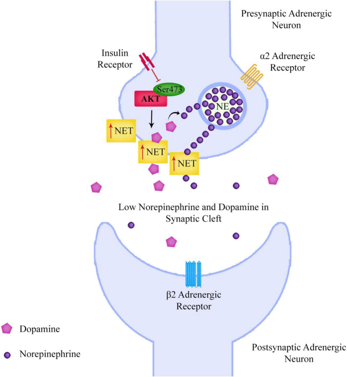 FIGURE 3