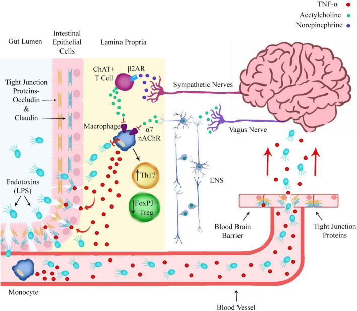 FIGURE 2