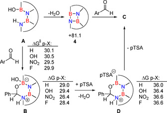 Scheme 4