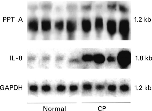 Figure 1  