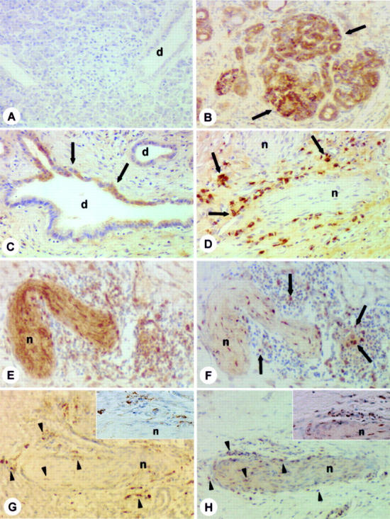 Figure 3  