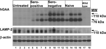 Figure  3. 