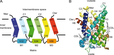 FIGURE 1.