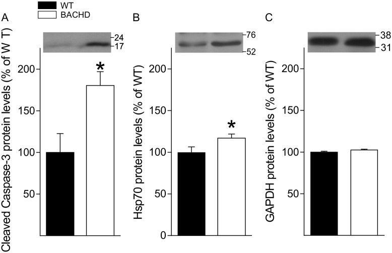 Fig 8