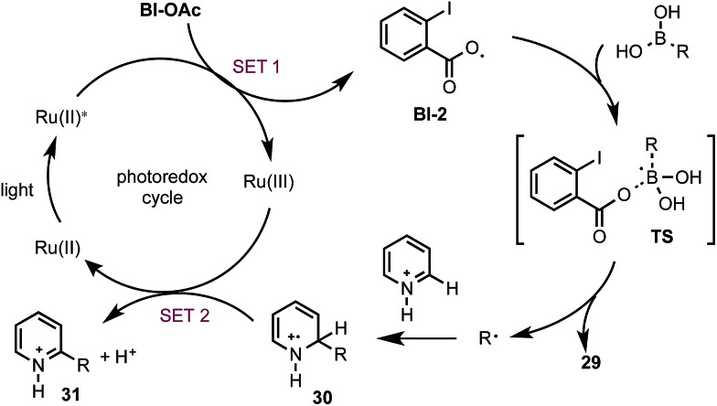 Scheme 5