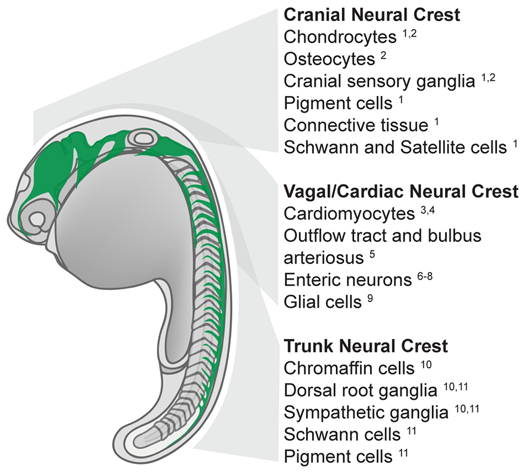 Fig. 1: