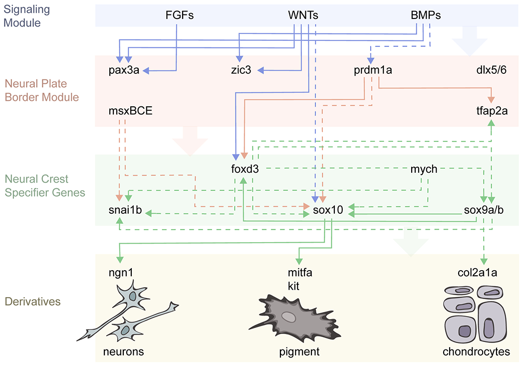 Fig. 4: