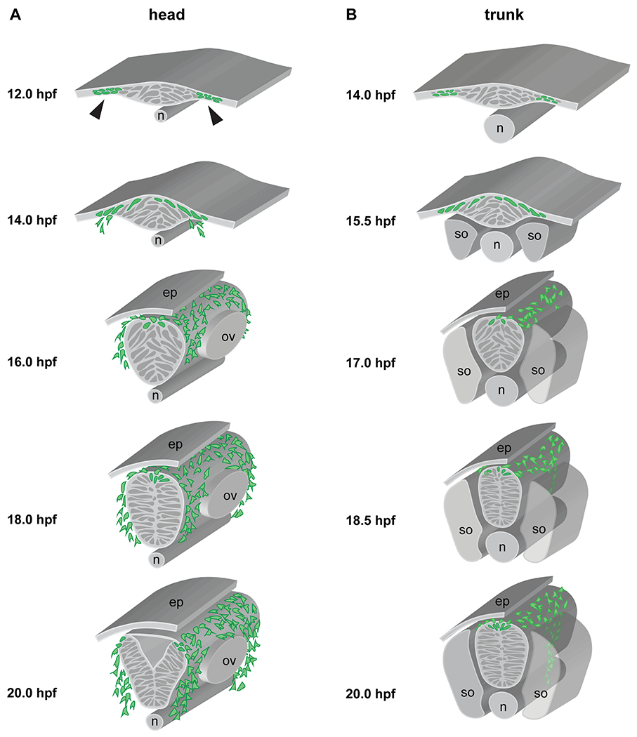 Fig. 2: