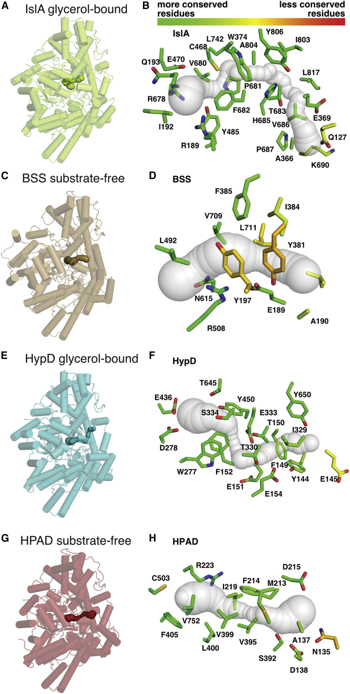 Figure 5