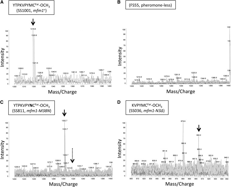 Figure 4 