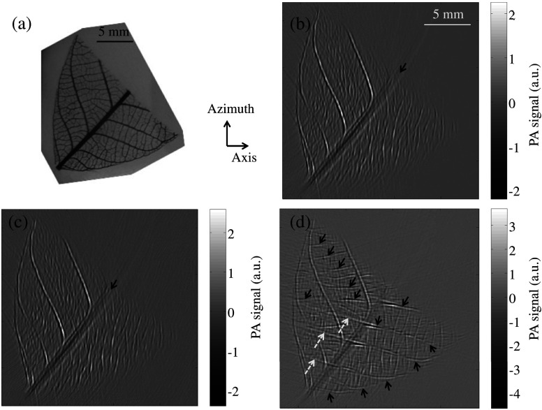 Fig. 3