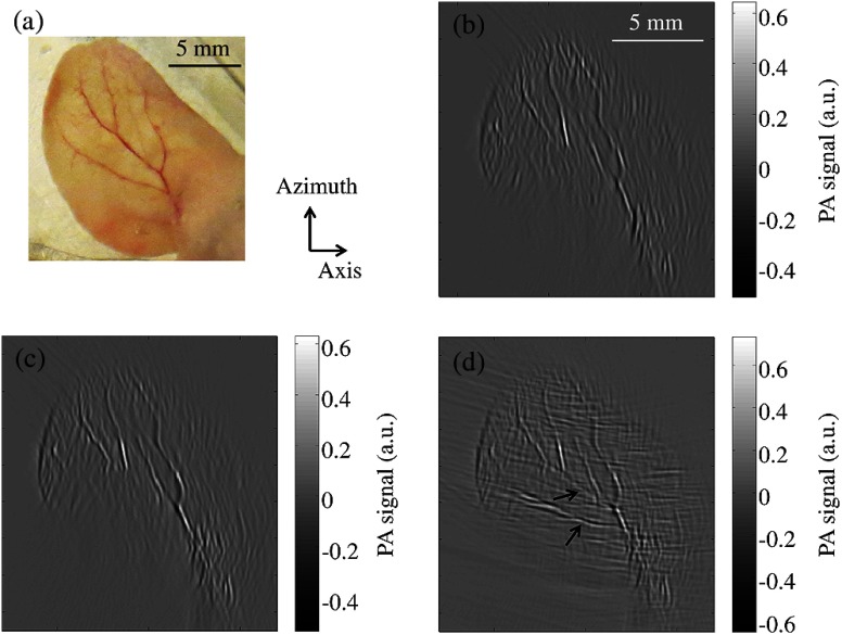 Fig. 4