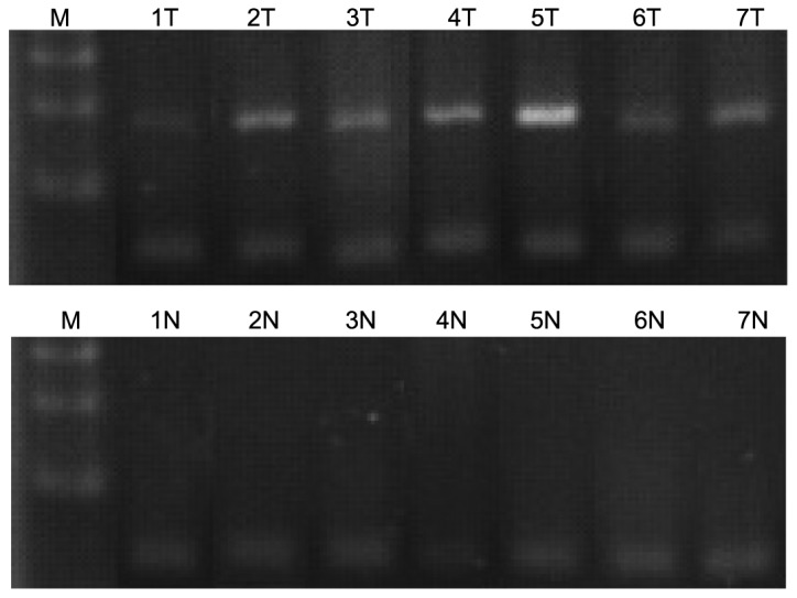 Figure 3.