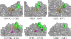 Figure 11—figure supplement 1.