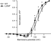 Figure 9—figure supplement 2.