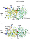 Figure 2—figure supplement 1.