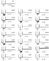 Figure 4—figure supplement 1.