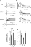 Figure 5—figure supplement 3.