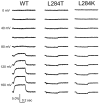 Figure 10—figure supplement 2.