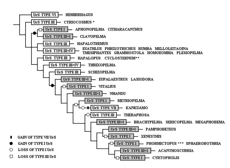 Fig 18