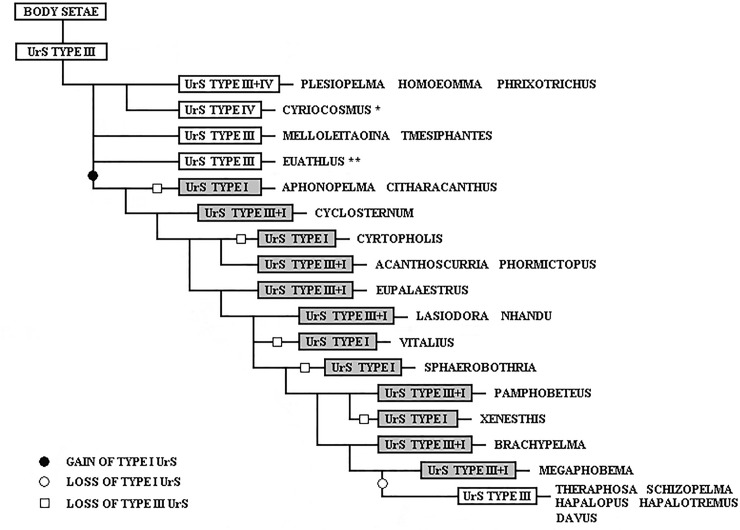 Fig 17