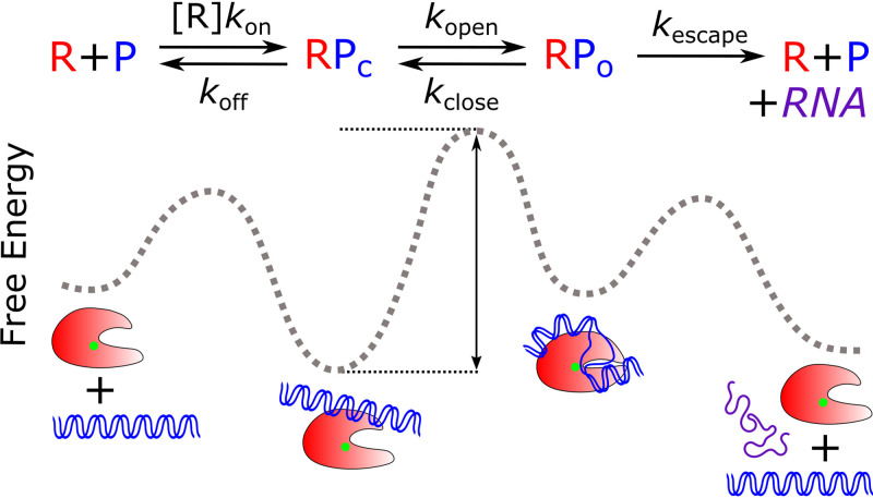 FIG 2