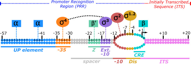 FIG 1