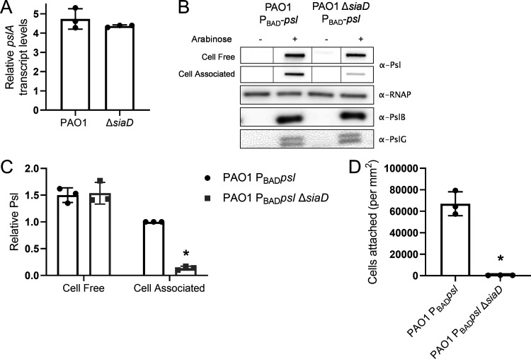 FIG 6