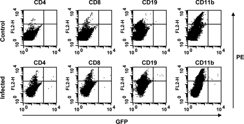 FIG. 2.