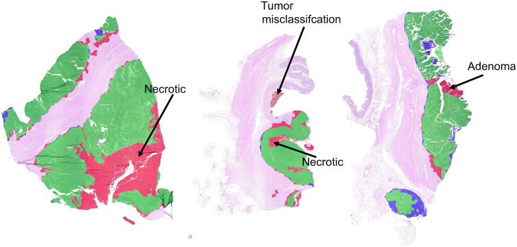 Fig. 13