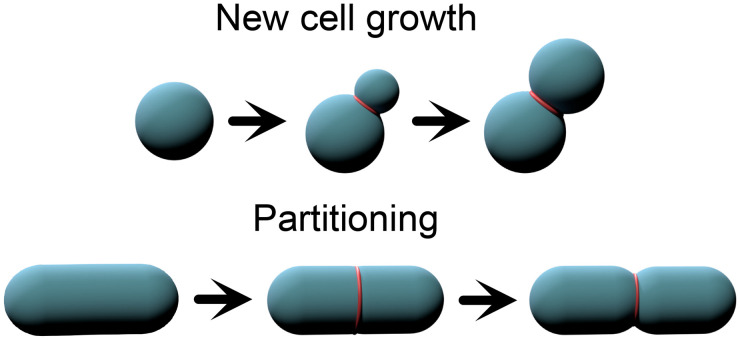 FIG. 2.