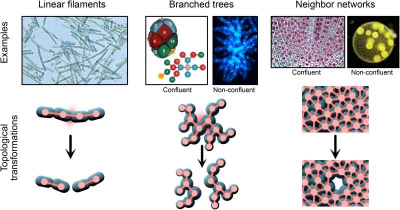 FIG. 3.