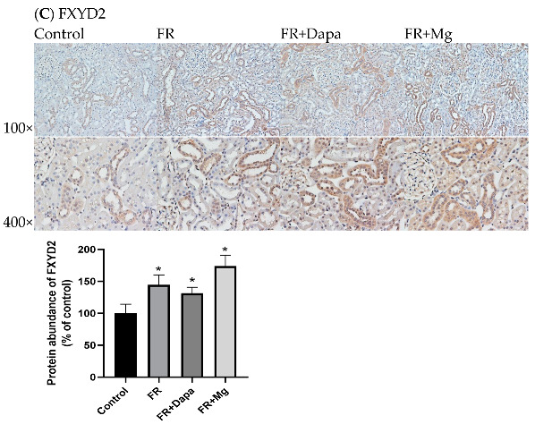 graphic file with name nutrients-16-03413-i001.jpg