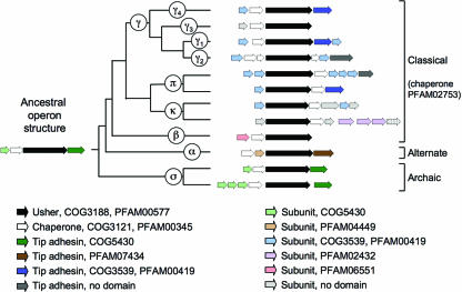 FIG. 10.