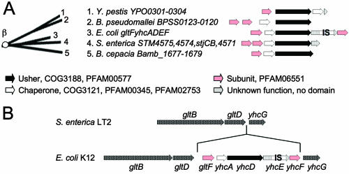 FIG. 4.