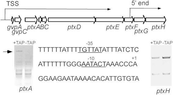 FIG 4